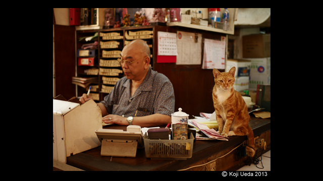 Get Inspired - Lumix G Mirrorless Digital Camera (DSLM) DMC-GX7KGN-S