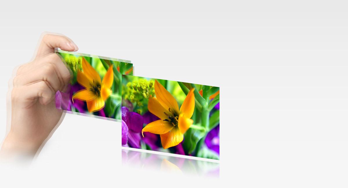 Optical Image Stabilizer