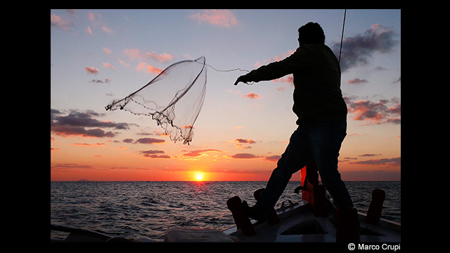 Get Inspired - LUMIX Digital Camera DMC-TZ110GN