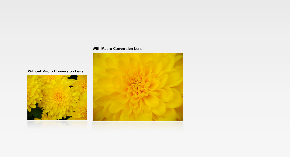 Discover a World
That Is Invisible to
the Naked Eye