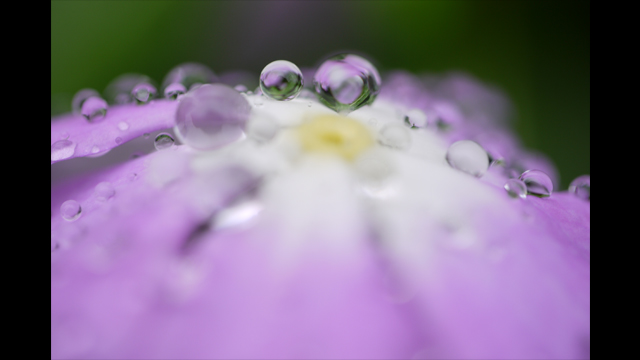 Get Inspired - LEICA DG Lens H-ES045E