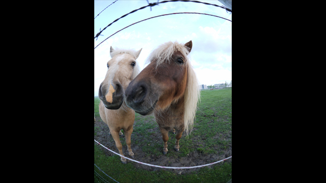 Get Inspired - LUMIX G Lens H-F008E