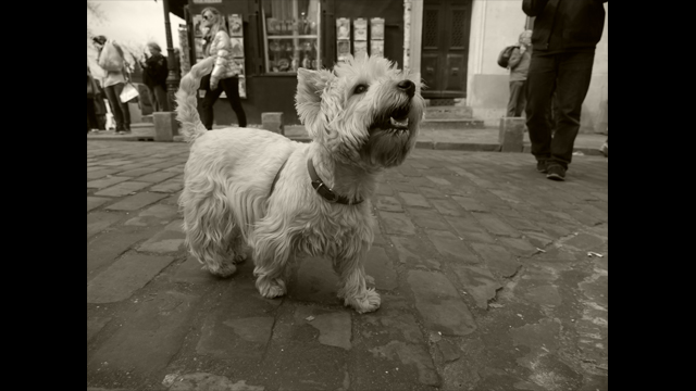 Get Inspired - LUMIX G Lens H-HS12035E