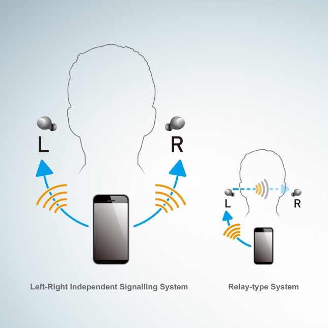 Left-Right Independent Signalling System
