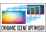 Dynamic Scene Optimiser