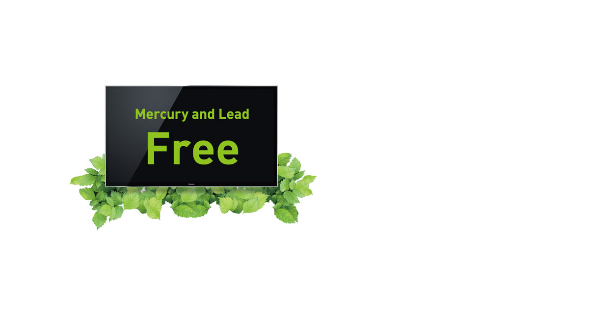 Mercury and Lead Free