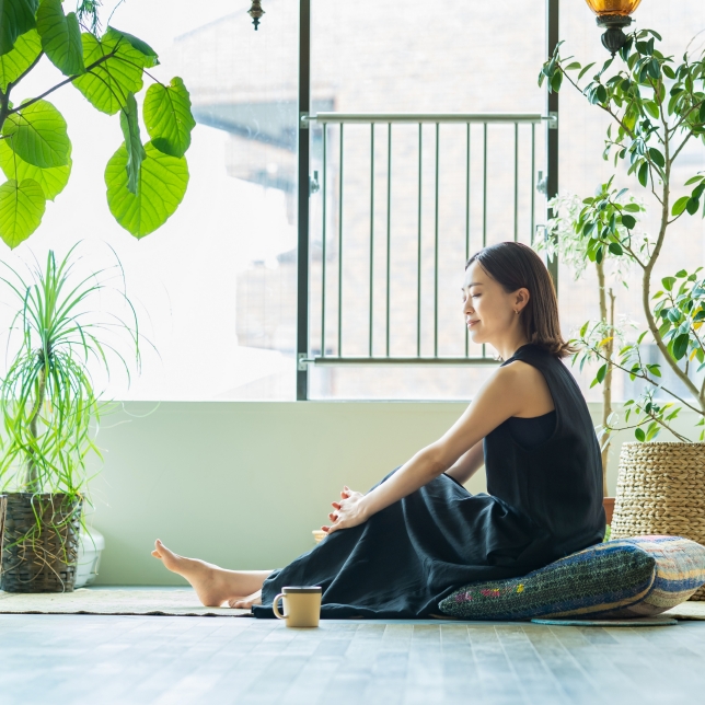 Gentle and Comfortable Breeze