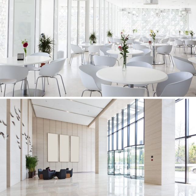 Introduction to ERV Case Studies