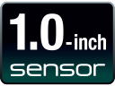 1.0-inch Sensor