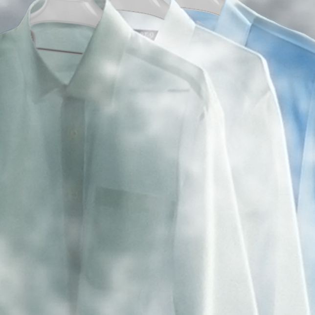 Removes Bacteria & Allergens with Steam