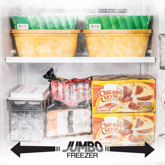 Jumbo Freezer for Bulk Buyers