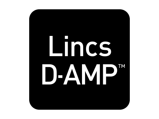 Technologia LincsD-Amp