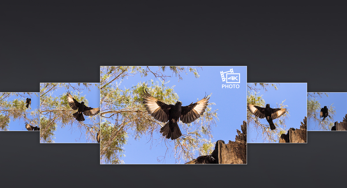 Fånga den perfekta ögonblicksbilden