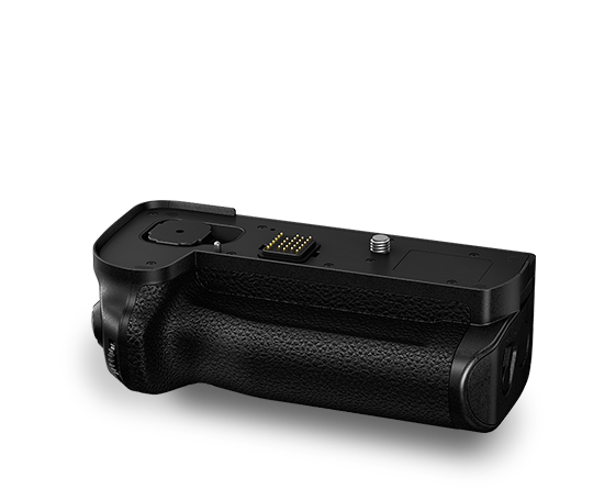 LUMIX S batterigrepp DMW-BGS1E