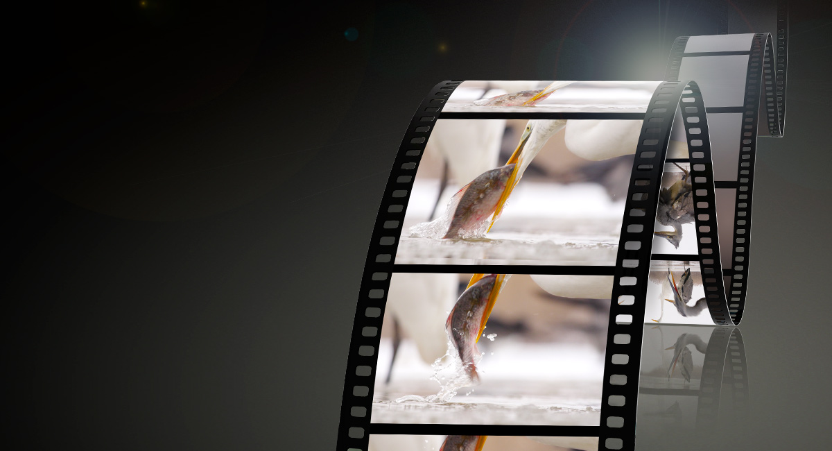 Stöd för videoinspelning -perfekt när du vill filma