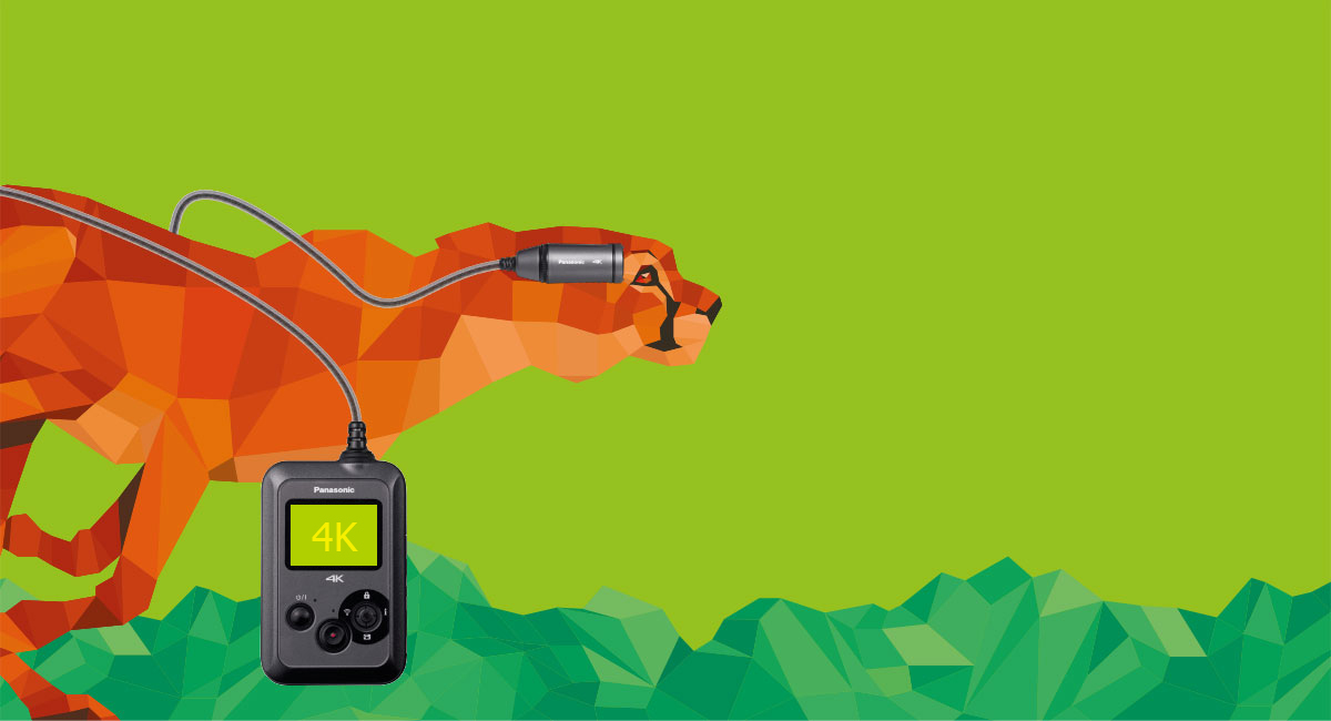 Filmer som är sköna att titta på.