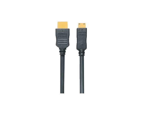RP-CDHM15 HDMI minikabel