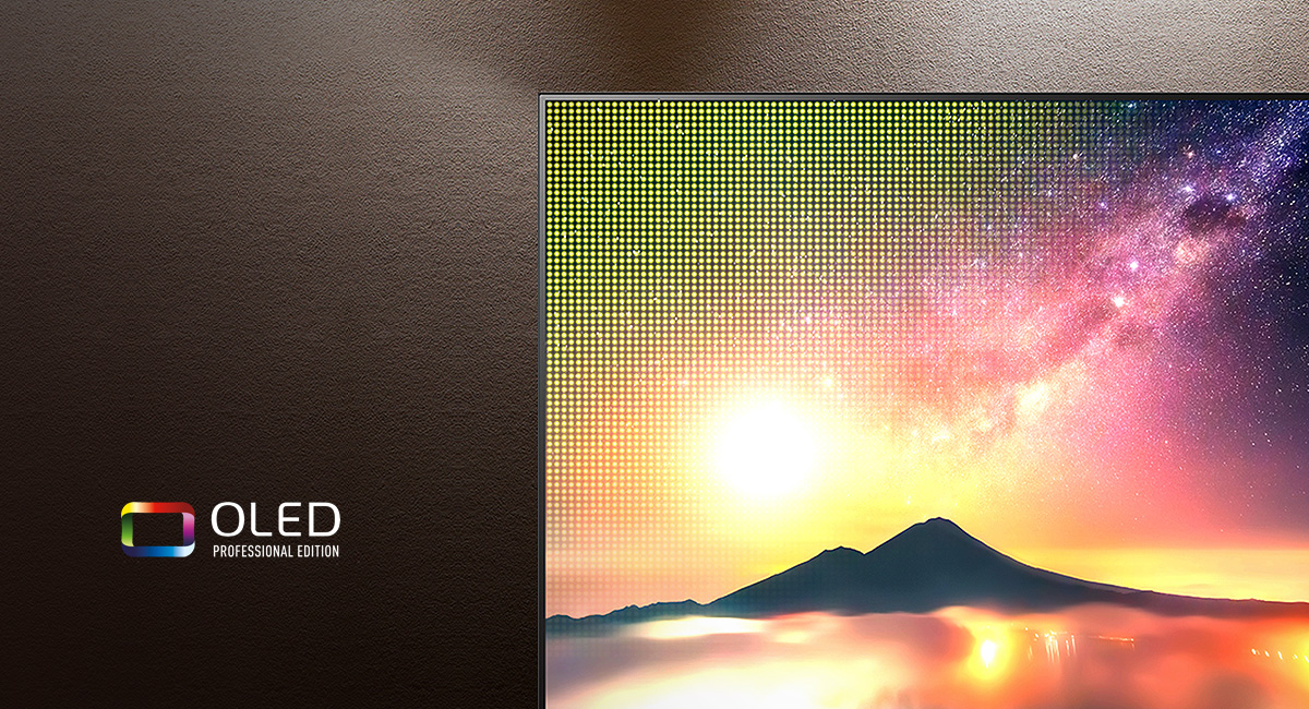 OLED-panel i professionell utgåva