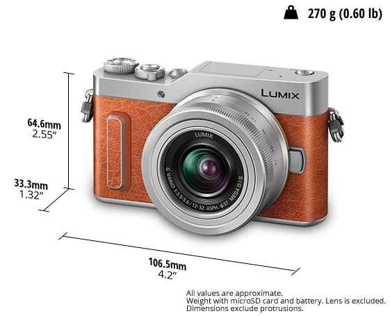 LUMIX Digital Single Lens Mirrorless Camera DC-GF10K
