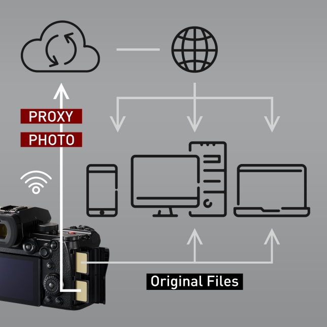 Enables cloud-based sharing and collaborative work