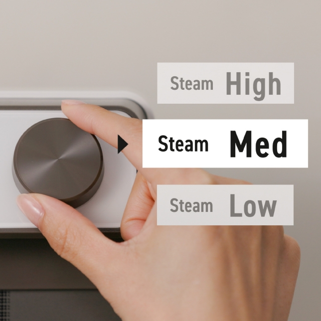 3 Steam Modes Suitable for Different Dishes