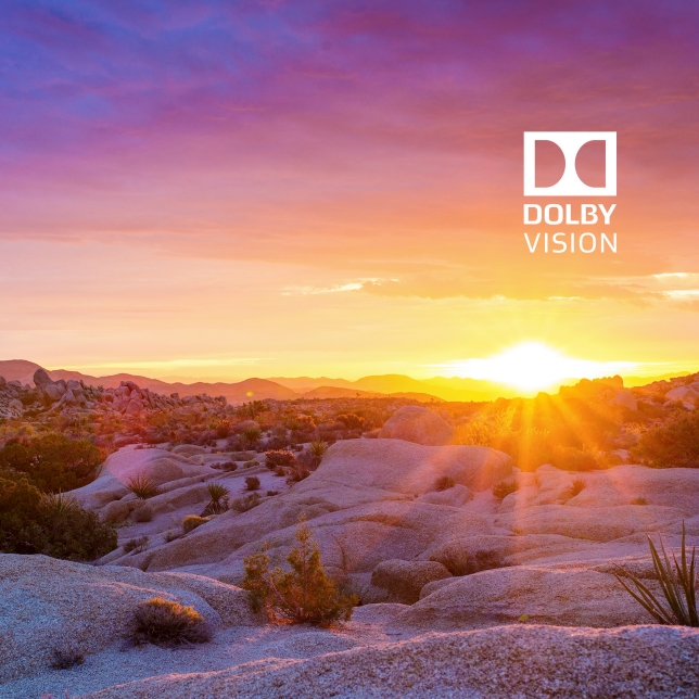 Dolby Vision™