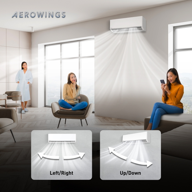 Long Air Distance with AEROWINGS