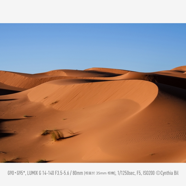 清晰銳利的高精確度影像