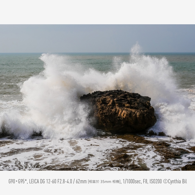 影片效能滿足所有需求