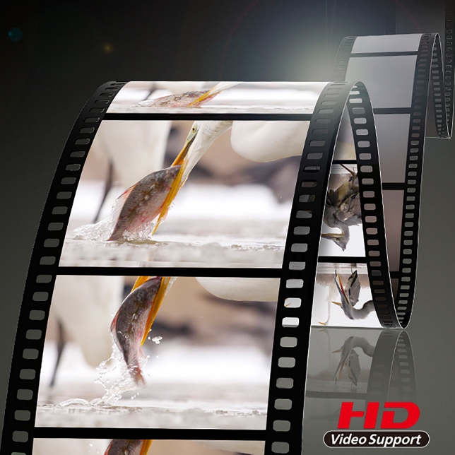 HD 影片支援 - 完美的影片錄製