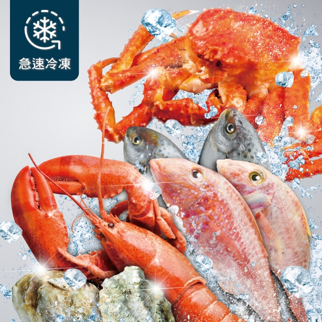 全平面外觀 簡約時尚