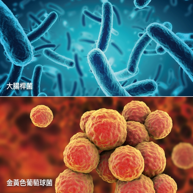 日本製專業淨水濾芯 給您純淨甘甜的安心飲水