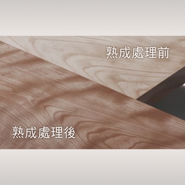 雙層塗裝Doubletcoat