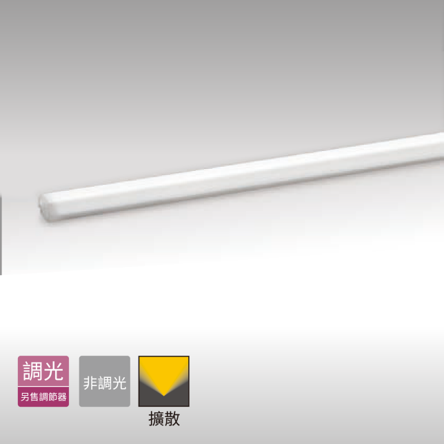 建築物周圍照明商品圖 : LEDs長條形