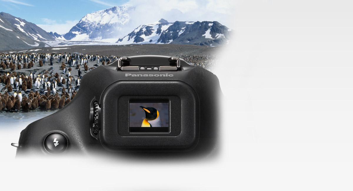 Built-in Electronic
Viewfinder