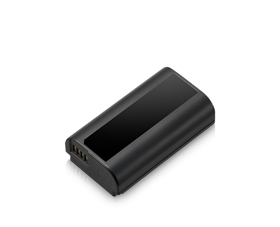 LUMIX S Camera Battery Pack - DMW-BLJ31