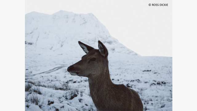 Get Inspired - LUMIX Micro Four Thirds 12-60mm Zoom Lens H-ES12060