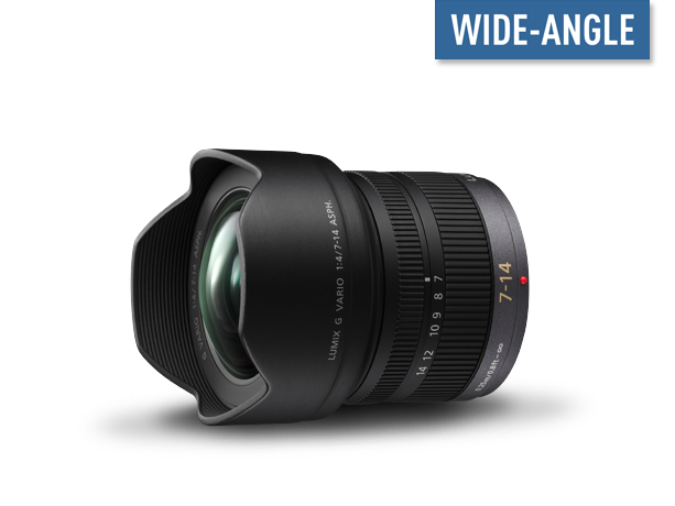 Photo of LUMIX G Vario Micro Four Thirds Wide-Angle Lens H-F007014E