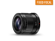 Photo of LUMIX Micro Four Thirds Camera Lens H-HS043E9-K