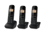 Photo of Telephone KX-TGB613EB