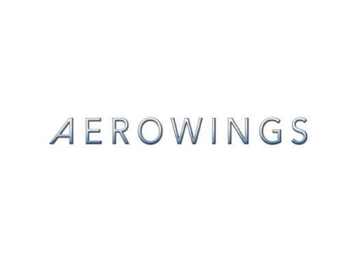 AEROWINGS