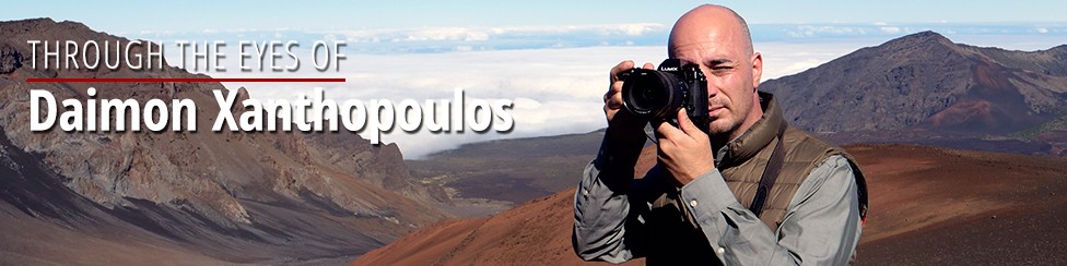 NEW THROUGH THE EYES OF PROFESSIONALS