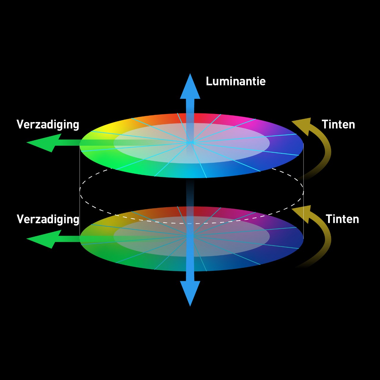 LUMIX Color Science Technology