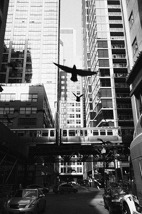Fotografia monocromatica a Chicago