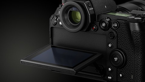 Body Design and Expandability