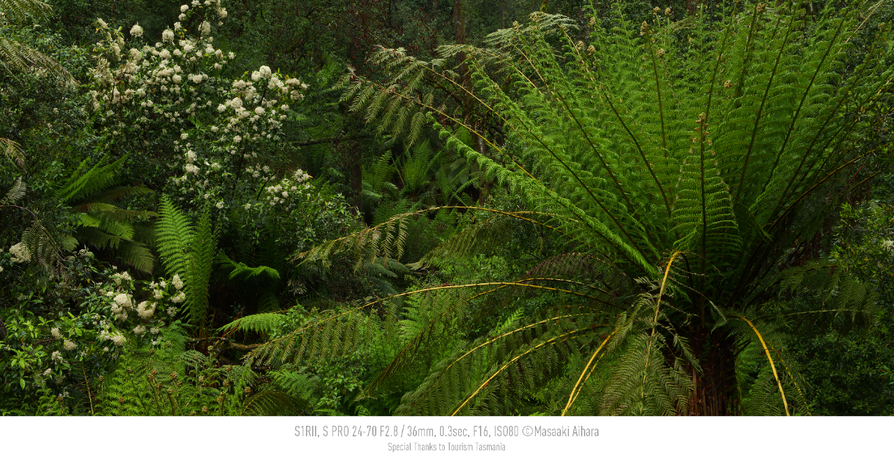 Photo by Masaaki Aihara, S1RII, S PRO 24-70 F2.8, 36mm, 0.3sec, F16, ISO80, Special Thanks to Tourism Tasmania