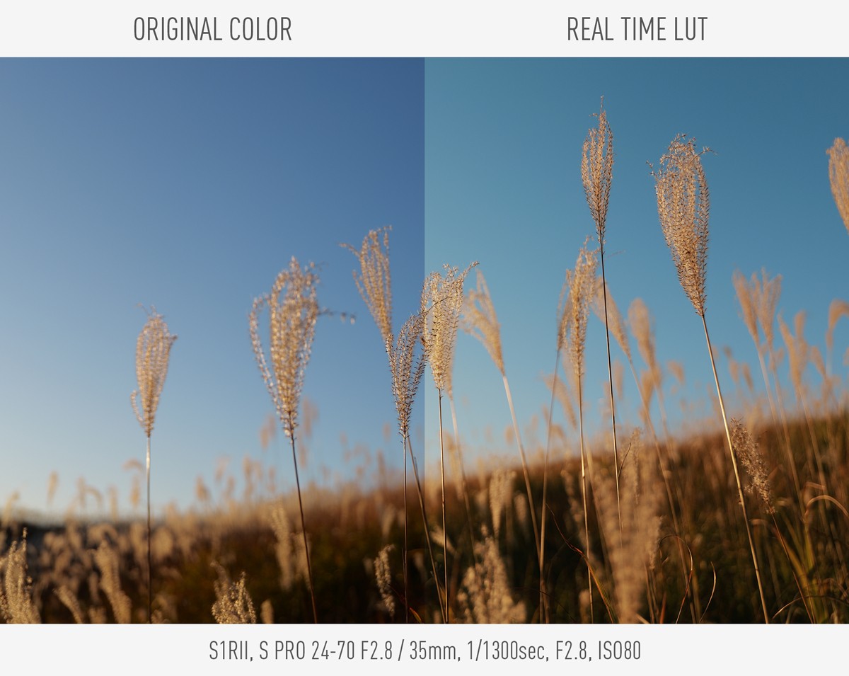 Images before and after REAL TIME LUT is applied. Photos taken with S1RII, S PRO 24-70 F2.8, 35mm, 1/1300sec, F2.8, ISO80