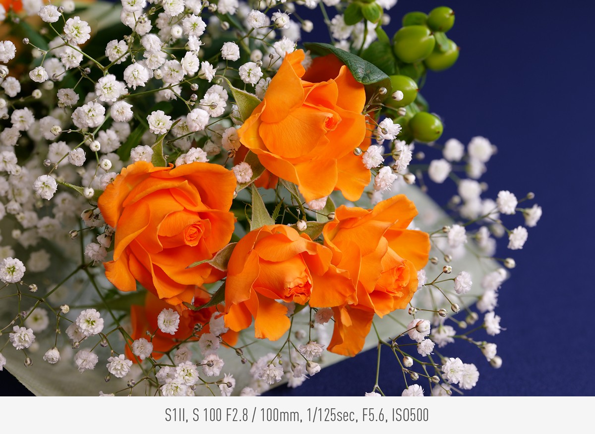 Photo taken with S1II, S 100 F2.8, 100mm, 1/125sec, F5.6, ISO500