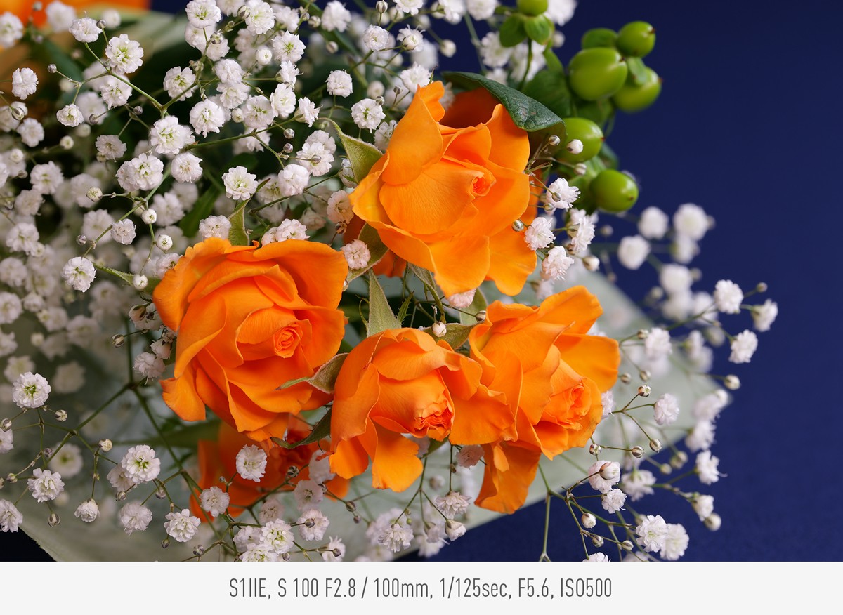 Photo taken with S1IIE, S 100 F2.8, 100mm, 1/125sec, F5.6, ISO500