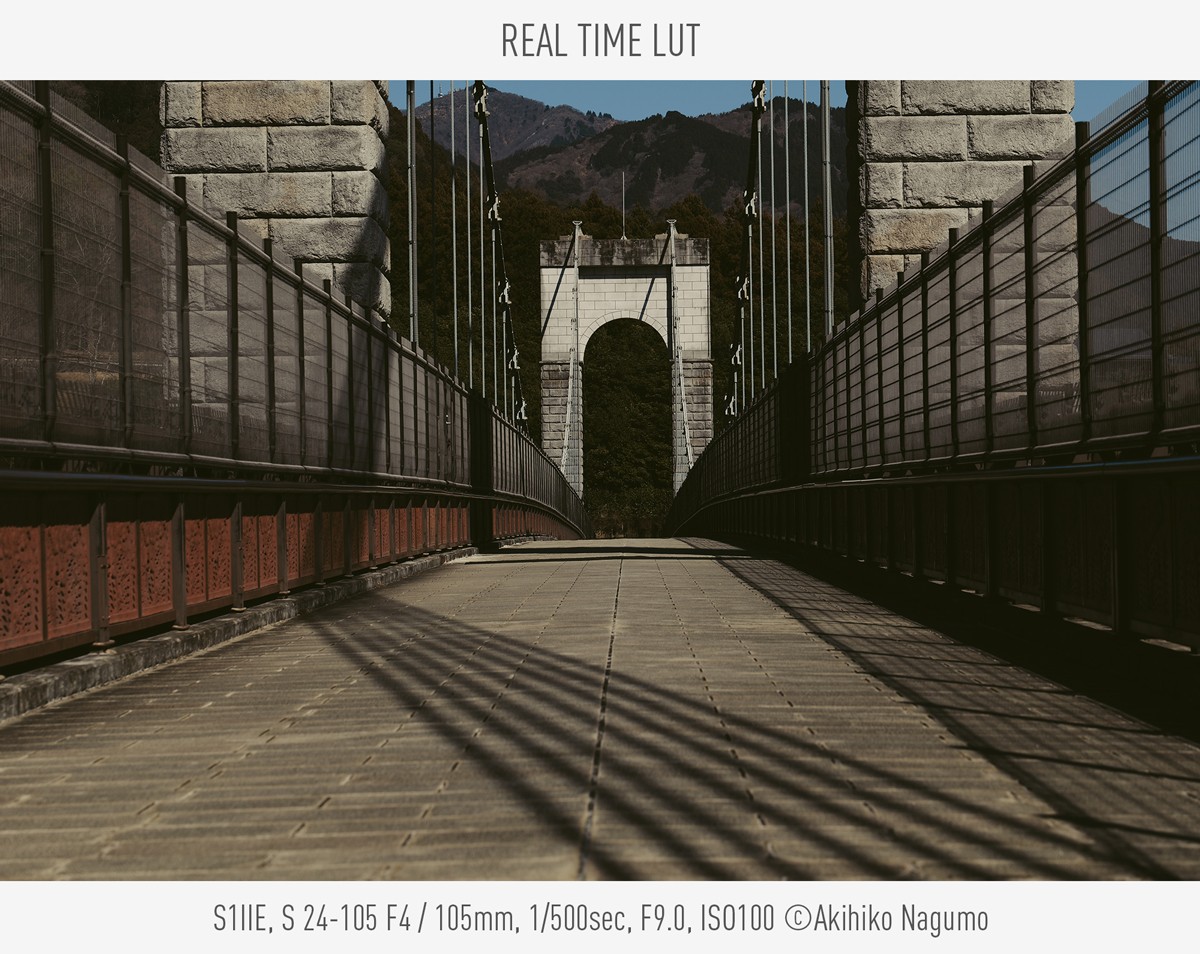 REAL TIME LUT, Photo by Akihiko Nagumo, S1IIE, S 24- 105 F4, 105mm, 1/500sec, F9.0, ISO100